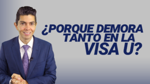 ¿Porque demora tanto en la VISA U?