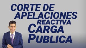 Corte de apelaciones reactiva carga pública