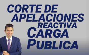 Corte de apelaciones reactiva carga pública