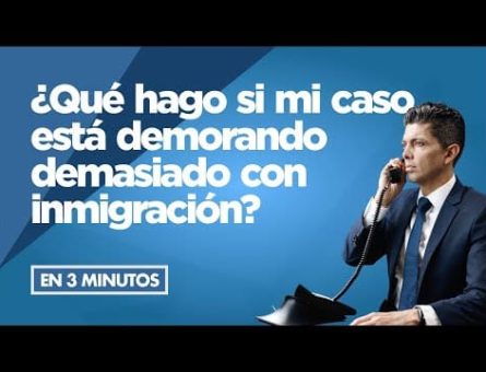 abogado de inmigracion