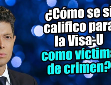 ¿Cómo se si califico para la Visa-U como víctima de crimen?