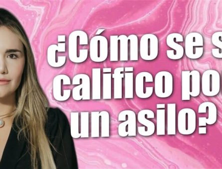 ¿Cómo se si califico por un asilo?