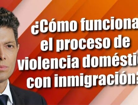 ¿Cómo funciona el proceso de violencia doméstica con inmigración?