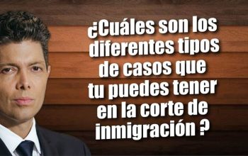 ¿Cuáles son los diferentes tipos de casos que tu puedes tener en la corte de inmigración?