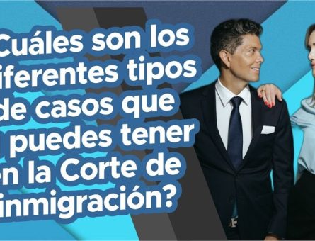 ¿Cuáles son los diferentes tipos de casos que tu puedes tener en la Corte de inmigración?