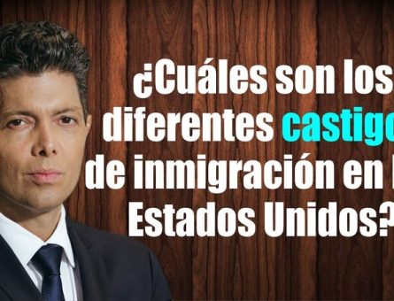¿Cuáles son los diferentes castigos de inmigración en los Estados Unidos?