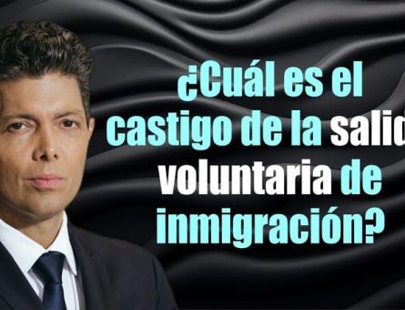 ¿Cuál es el castigo de la salida voluntaria de inmigración?