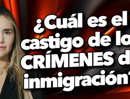 Cuál es el castigo de los crímenes de inmigración?