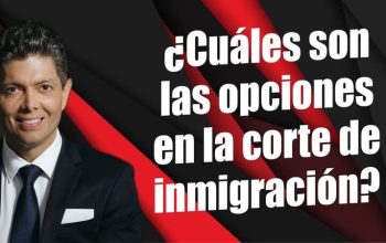 ¿Cuáles son las opciones en la corte de inmigración?