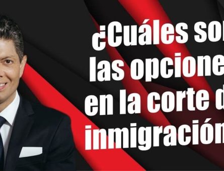 ¿Cuáles son las opciones en la corte de inmigración?