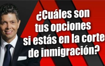 ¿Cuáles son tus opciones si estás en la corte de inmigración?