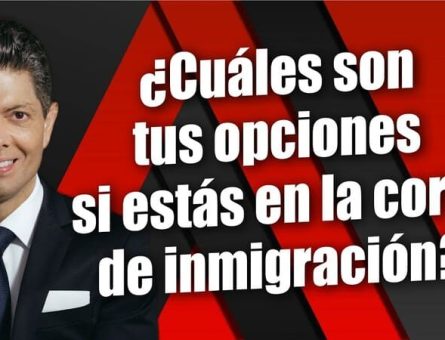 ¿Cuáles son tus opciones si estás en la corte de inmigración?