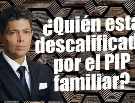 ¿Quién está descalificado por el PIP familiar?