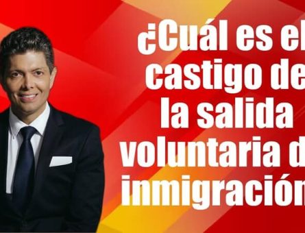 ¿Cuál es el castigo de la salida voluntaria de inmigración?