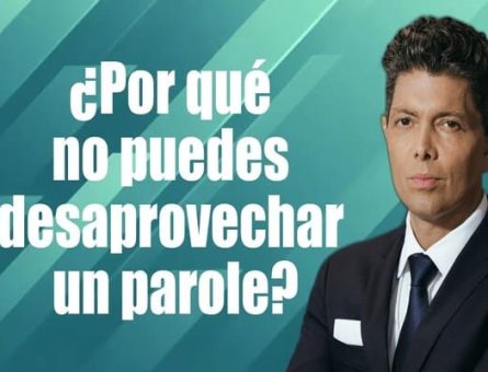 immigration lawyer