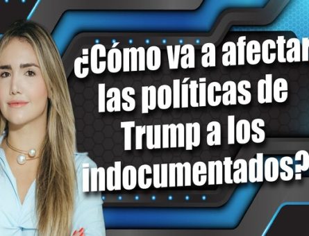 abogados de inmigracion